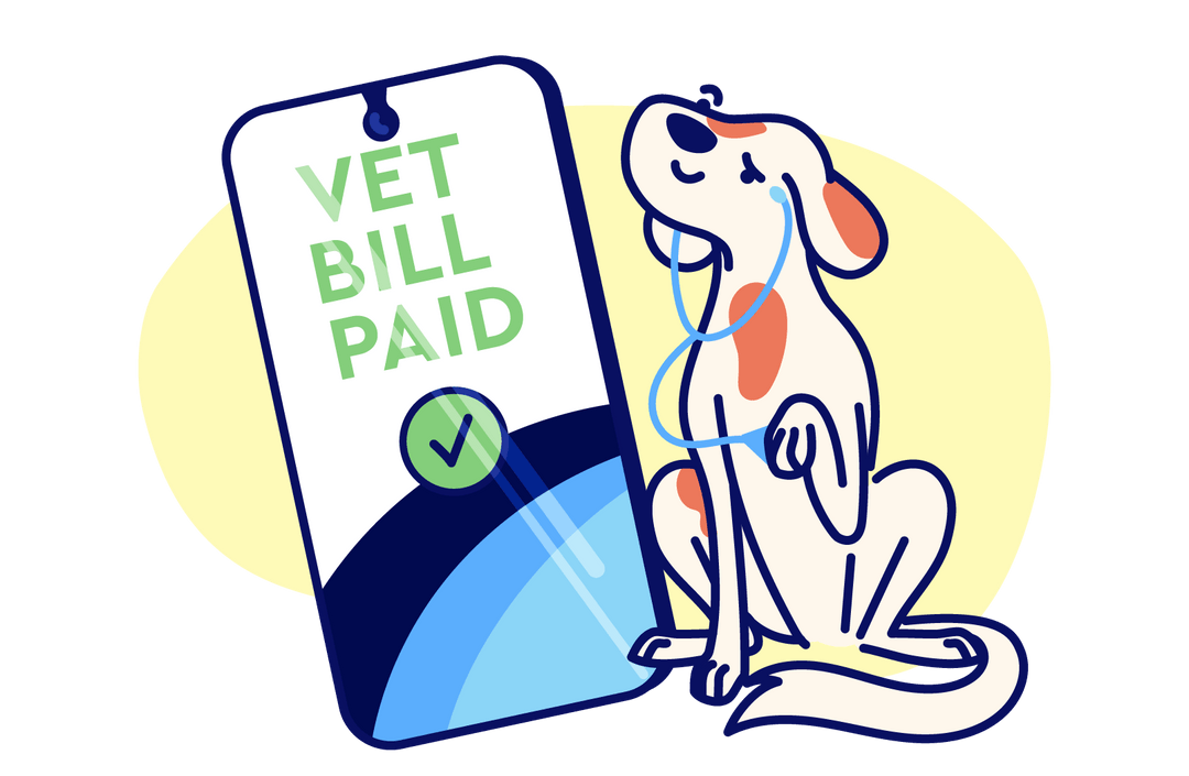 Fursure Pet Insurance, Savings, and Wellness